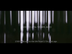 الترويج للشركة